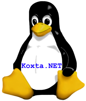 Koxta.NET